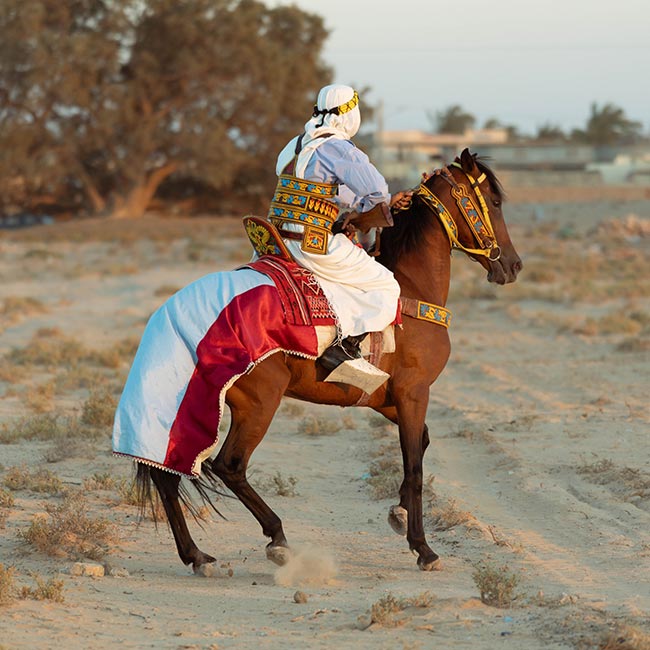 Photo by Samer Bououd: https://www.pexels.com/photo/man-in-traditional-clothing-riding-a-horse-in-the-desert-18139791/