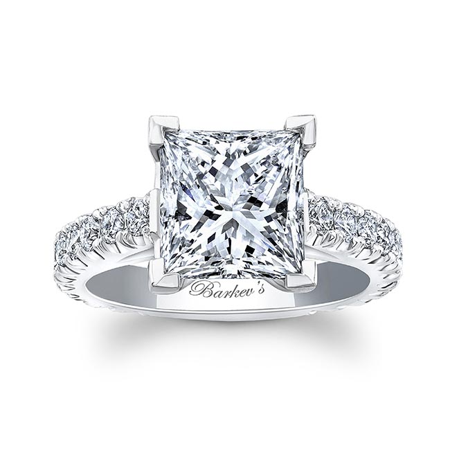 Platinum 4 Carat Princess Cut Moissanite Ring