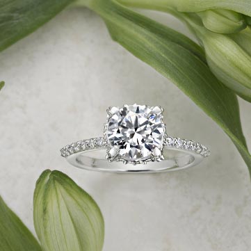 White gold diamond ring on stone background with green plants